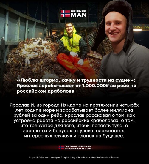 bfishg_8150760af2c0fc4ccb201.jpg