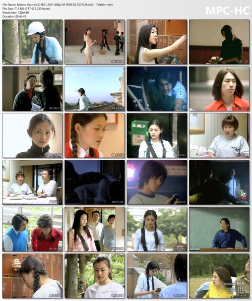 Meteor.Garden.S01E01.2001.480p.NF.WEB-DL.DDP2.0.x264---Feitn-.mkv_thumbs2c52d7cc3ee6e315.jpg