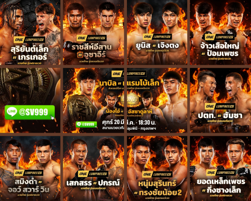 Feminine Beautiful Girl Photo Collage (1)