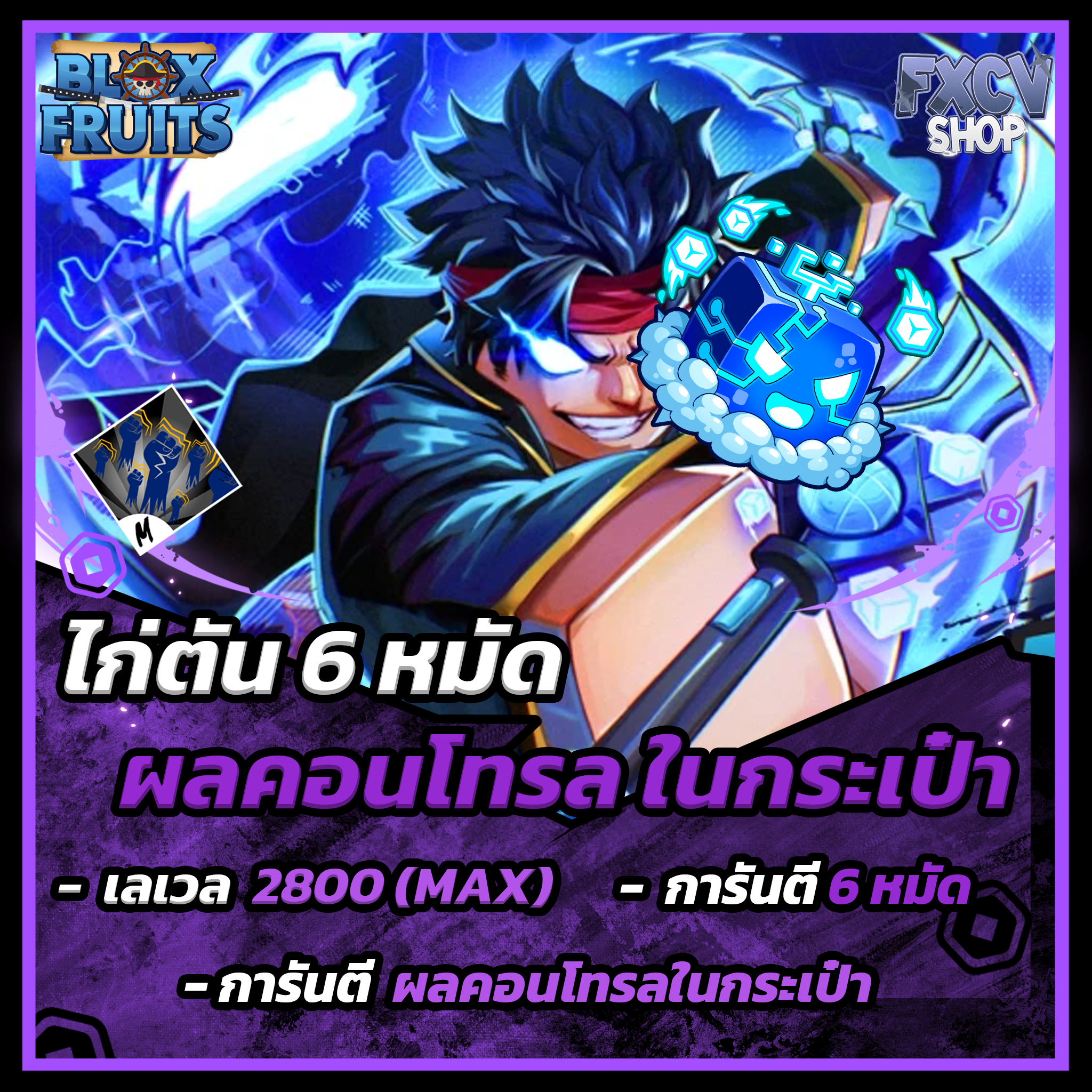 ไก่ตัน 6 หมัด | ผลคอนโทรลในกระเป๋า