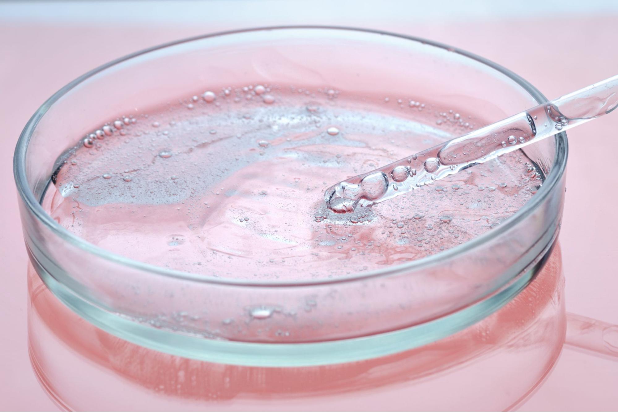 ประเภทของการเก็บสเต็มเซลล์