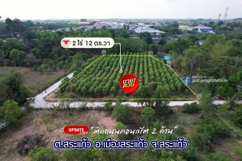 06 39184