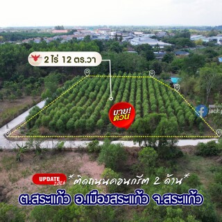 06_391849203cd414c5e4204