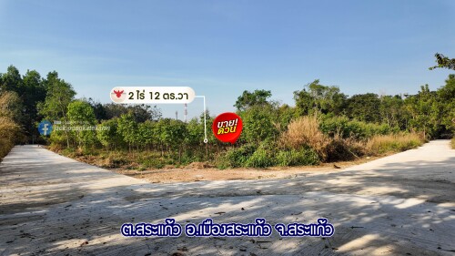 08 39184