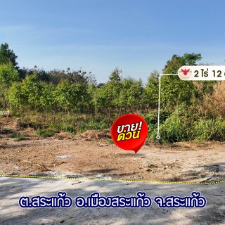 09_39184056541ef0134aaf6