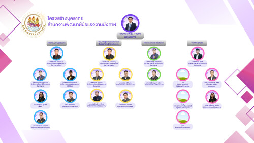โครงสร้างองค์กร 0769
