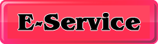 E service