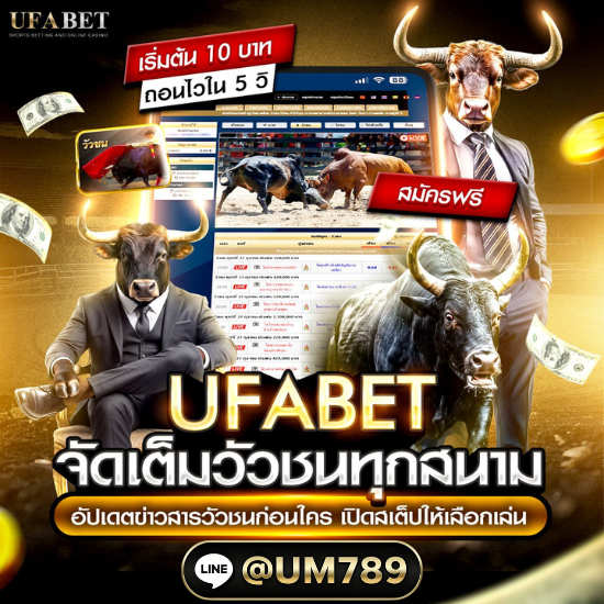 เว็บแทงวัวชน